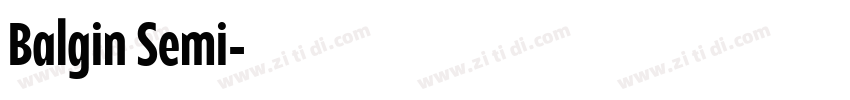 Balgin Semi字体转换
